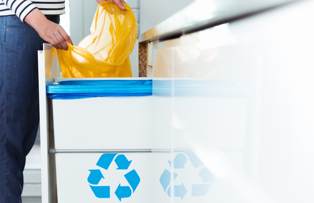 Paysera employees recycle at work.